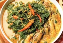 Resep Gulai Daun Singkong Teri- Udang
