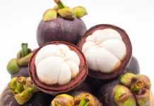 Rahasia Warna Ungu pada Buah Manggis Sebagai Ratu Buah dari Tropis
