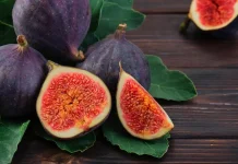 Rahasia Tersembunyi di Balik Keunikan Struktur Buah Ara dan Lebah