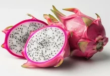 Karakteristik Buah Naga yang Berasal dari Spesies Tanaman Kaktus Merambat