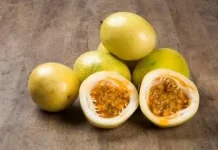 Rahasia Buah Markisa yang Memiliki Nama Berdasarkan Makna Religius Kuno
