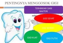 Cara Ampuh Merawat Gigi