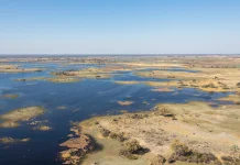 Menyingkap Pesona Luas Delta Okavango di Jantung Botswana