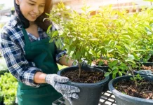 Dampak Positif Berkebun sebagai Terapi Kesehatan Mental