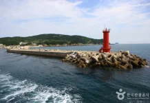 Chuja-do: ternyata dari Sini Asal Ikan Termahal di Korea yang Jarang Diketahui Orang!