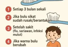 Kapan Harus Mengganti Sikat Gigi? Jangan Tunggu Sampai Rusak