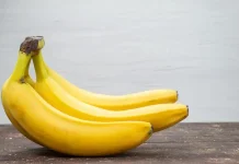 Manfaat Kesehatan dan Potensi Ekonomi Budidaya Pisang
