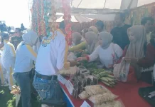 Festival Gurita Kaur Didorong Masuk Kembali ke KEN