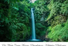 Kenali Lebih Dekat Keindahan Wisata Curug Muncar Jateng