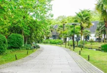 Peran Penting Ruang Terbuka Hijau bagi Kualitas Hidup Urban