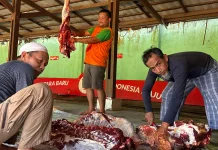 Instansi Pemerintah di Bengkulu Masih Gelar Penyembelihan Kurban Pasca Idul Adha