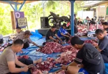Semangat Gotong Royong Warnai Pemotongan Hewan Kurban di Polres Seluma