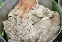 Tips Mengolah Jeroan Sapi Kurban agar Tidak Amis dan Lezat Disajikan