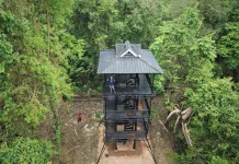 6 Hutan Indonesia yang Memukau