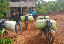 Turunnya Harga Kopi Berpengaruh pada Penghasilan Petani di Kaur