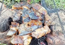 Cara Membuat Ikan Asap, Olahan Tradisional yang Tetap Digemari