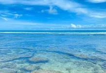 Mengenal Keindahan Wisata Bunga Karang Kaur