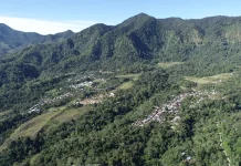Berkunjung ke Desa Colol Manggarai Timur, Desa Penghasil Kopi