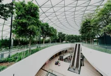 Mengenal Manfaat Penerapan Konsep Arsitektur Biophilic di Kota