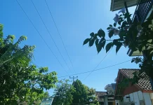Prakiraan Cuaca di Kabupaten Kaur