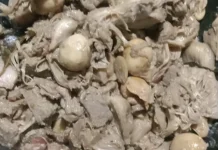 Resep Sederhana Mengbuat Gudeg Nangka