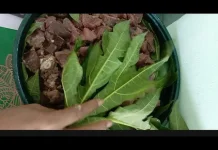 Rahasia Daging Empuk dengan Daun Kates, Cara Tradisional yang Masih Ampuh