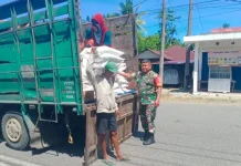 Babinsa Koramil Kaur Utara Monitoring Pendistribusian Bapang