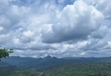 Tips Menjaga Kesehatan saat Cuaca Panas