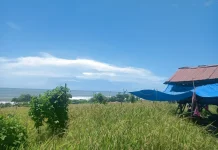 Panas Ekstrim Petani Khawatir Tidak Bisa Olah Sawah
