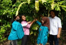 Desa Wisata Batur Pelopori Desa Wisata Karbon