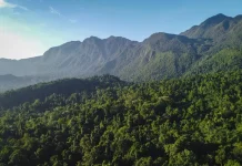 Taman Nasional Manusela: Surga bagi Pecinta Petualangan