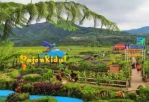 Mengenal Pengembangan Desa Wisata Berbasis Komunitas