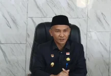 Hingga Juni Satpol PP Kaur Berhasil Amankan 206 Hewan Ternak saat Operasi
