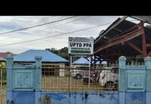 UPTD PPA Kaur Sebut Keterbatasan Informasi Hambat Penanganan Kasus Kekerasan