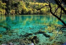 Mengenal Desa-desa Wisata di Provinsi Jambi