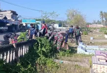 Babinsa Koramil Kaur Selatan Gotong Royong Bersama Mahasiswa KKN