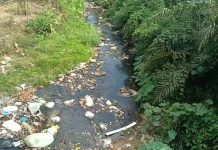 Ratusan Hektare Sawah di Kelam Tengah Terancam Terbengkalai akibat Krisis Air