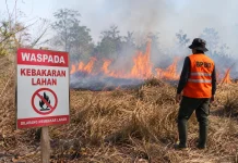 Musim Kemarau Panjang, Waspadai Risiko Kebakaran Lahan