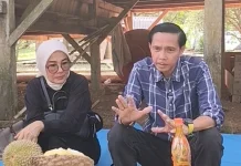 Bupati Kaur Ajak Warga Tanam Durian Unggul