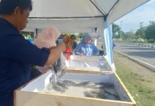 Dinas Perikanan Bengkulu Selatan Gelar PUS Ikan