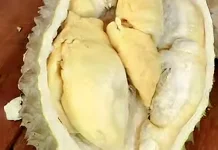 Jaga Kesehatan: Kenali Batas Konsumsi Durian