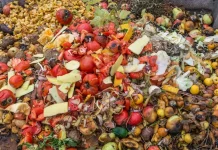 Mengolah Sampah Buah Menjadi Cairan Murni Eco-Enzyme