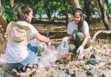 Tata Pengelolaan Bank Sampah Warga Demi Menciptakan Lingkungan Asri