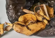 Pengolahan Limbah Kulit Pisang Menjadi Bahan Pengilap Sepatu