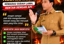 Bupati Kaur Gusril Pausi Imbau Warga Tidak Membakar Hutan dan Lahan