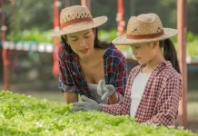 Berkebun Sayuran Dapur Bersama Anak di Pekarangan Rumah