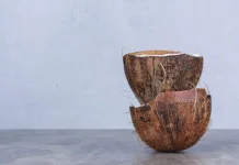 Pembuatan Pot Tanaman Hias dari Batok Kelapa Bekas Bersama Anak