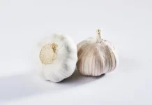 Pembuatan Pestisida Nabati dari Bawang Putih untuk Tanaman Sayur