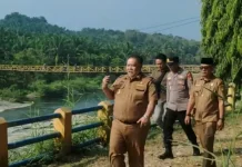 Respon Keluhan Petani, Pemkab Bengkulu Selatan Tinjau Bendungan Selepah Seginim