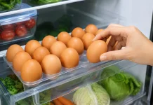 Tips Menyimpan Telur agar Tetap Segar dan Tahan Lama